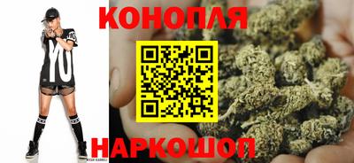 шишки Аргун