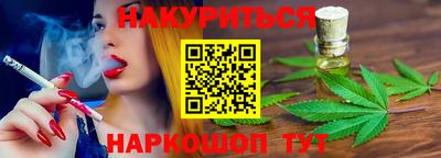 шишки Аргун
