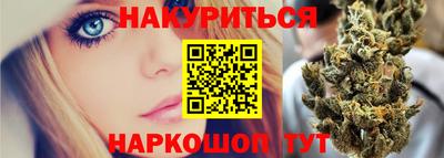 шишки Аргун