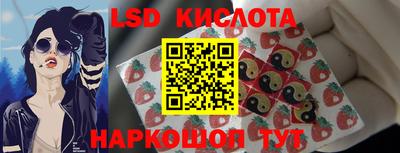 шишки Аргун