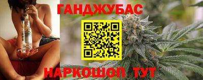 шишки Аргун