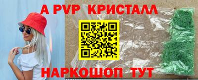 шишки Аргун