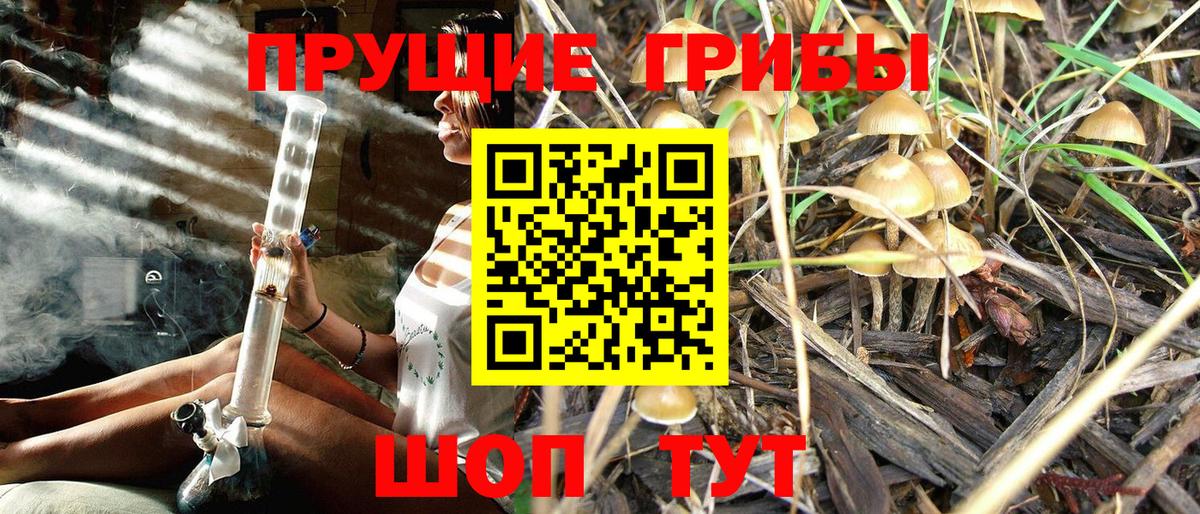 Галлюциногенные грибы Magic Shrooms  Вход с VPN  Белогорск 